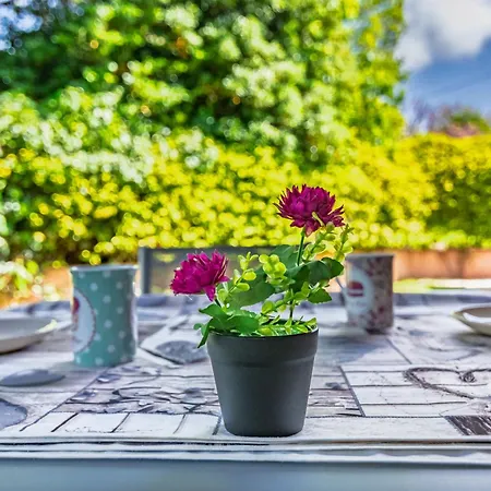Elegance - With Garden And Private Gym Villa Livorno