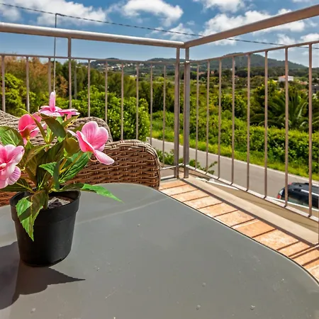 Villa Elegance - With Garden And Private Gym
